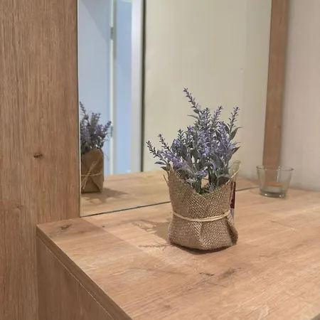 Lägenhet With Balcony Tirana